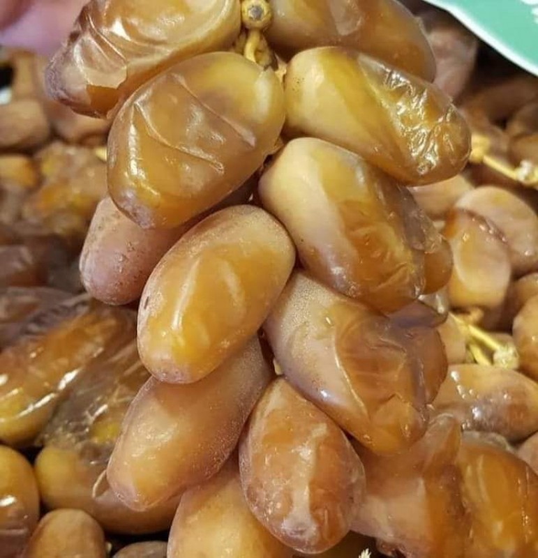 Deglet-Noor Dattel from Algerien